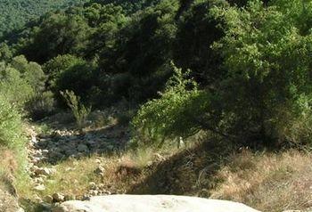 Rancho Oso Rv & Camping Resort Goleta Екстериор снимка